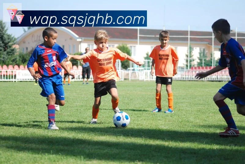 华体网页版登录入口APP 封面图